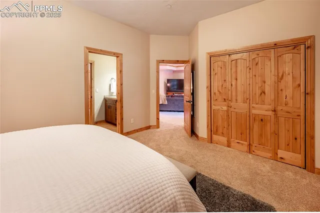 a bedroom with a bed and a closet