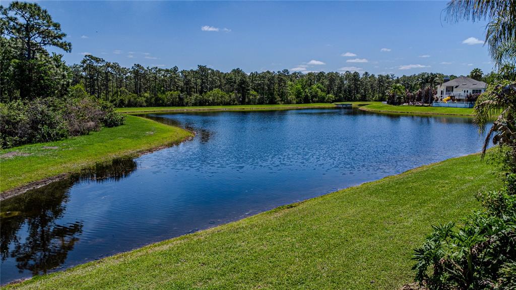 2243 3 Rivers Drive Orlando, FL 32828 - Photo 5 of 57