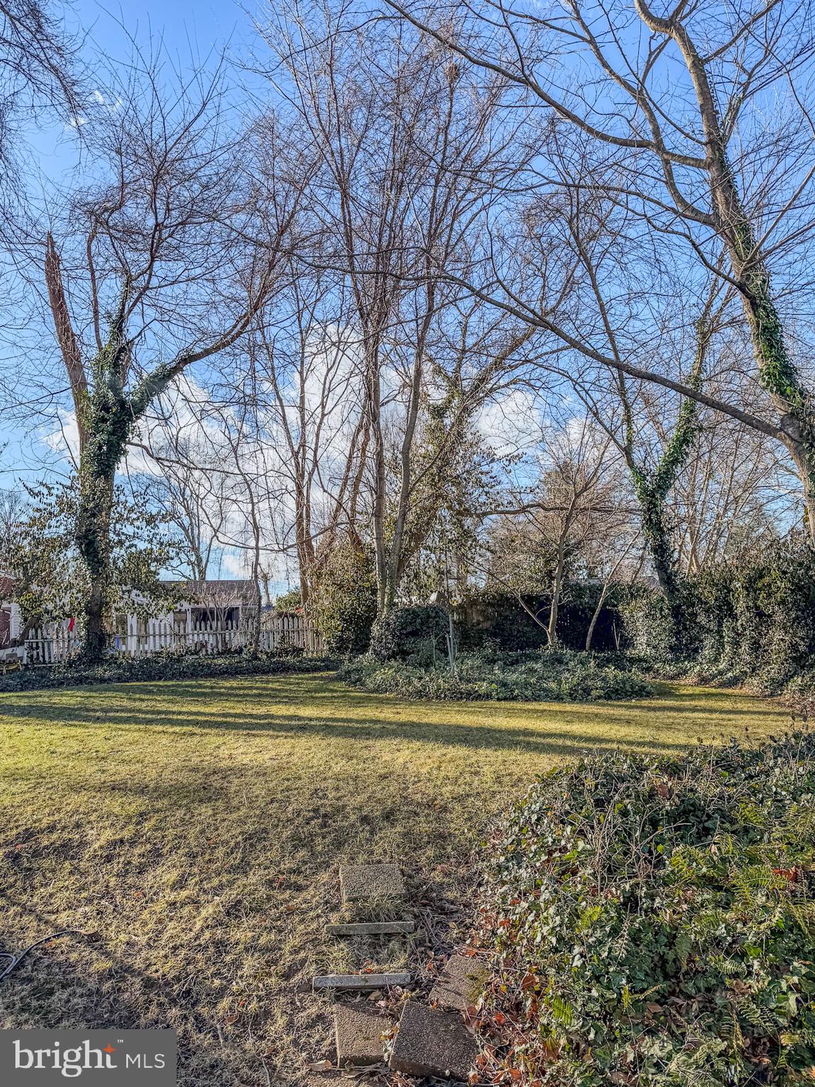 5413 Glenallen Street Springfield, VA 22151 - Photo 7 of 7 a view of a swimming pool and trees in the background