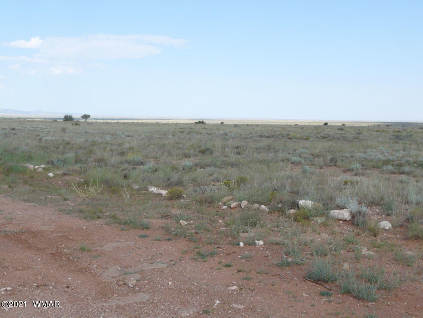 906 Queens Avenue, Unit 6 Heber, AZ 85928 - Photo 4 of 7 a view of a dry field