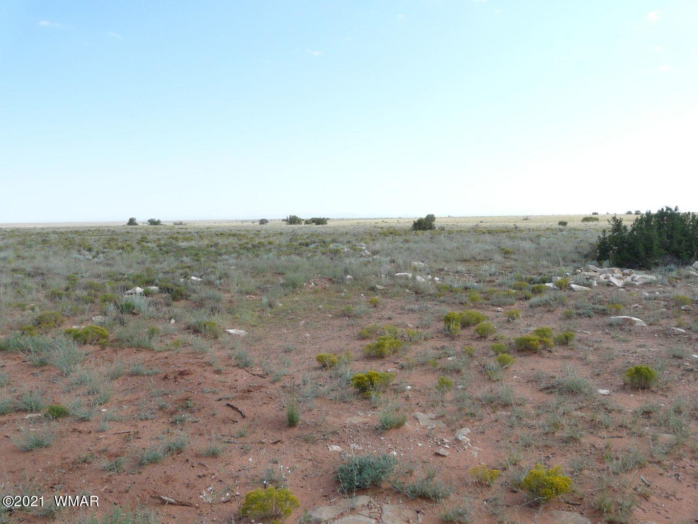 906 Queens Avenue, Unit 6 Heber, AZ 85928 - Photo 6 of 7 a view of a dry field with lots of trees