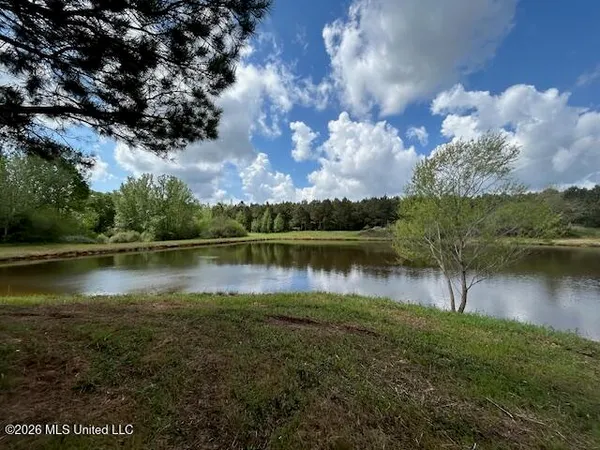 $549,500 | 583 Mississippi, Tylertown, MS 39667