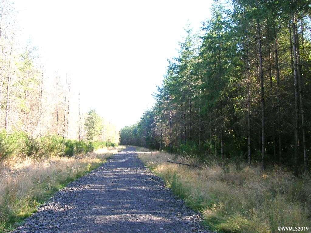 Robinette (lot 1) Road St. Helens, OR 97051 - Photo 7 of 13