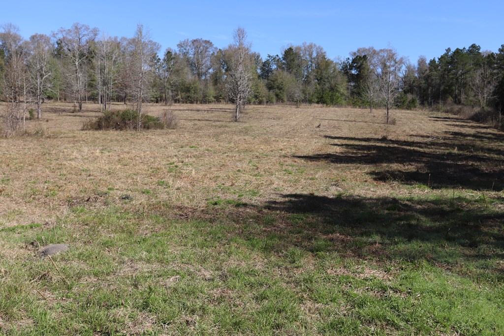 132 Cottonton Road Pittsview, AL 36871 - Photo 9 of 14