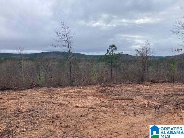 6001 Bluff Valley Road, Unit 30 AC Ashland, AL 36251 - Photo 2 of 8
