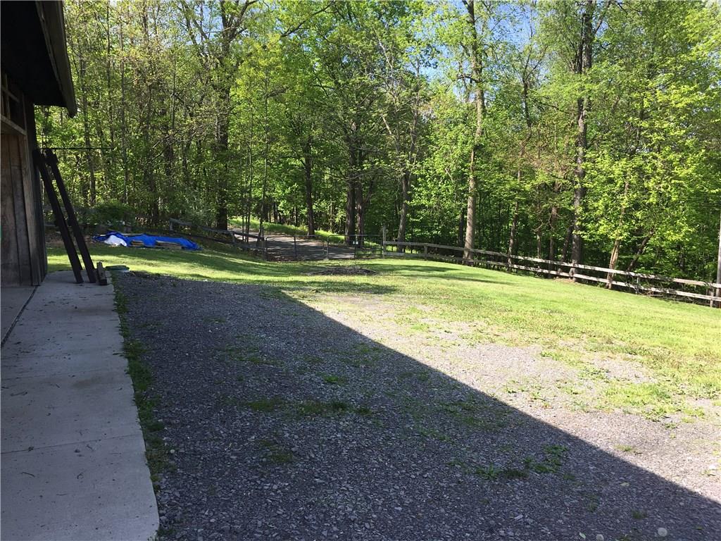 704 Red Mill Road Kittanning, PA 16201 - Photo 25 of 25 View of front yard from front of detached garage!