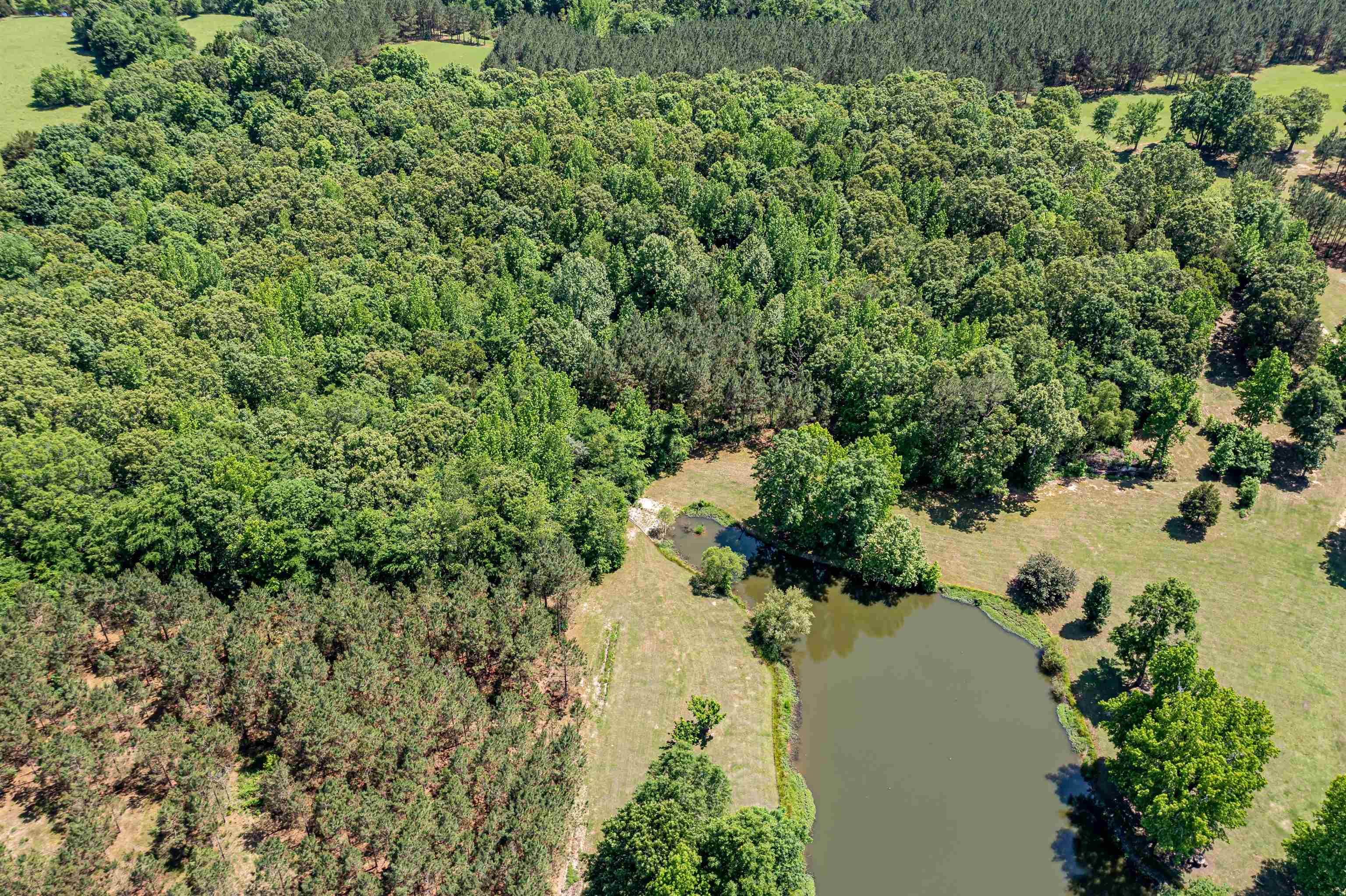 185 Franklin Road Lamar, MS 38642 - Photo 11 of 25 Gallery Image 11