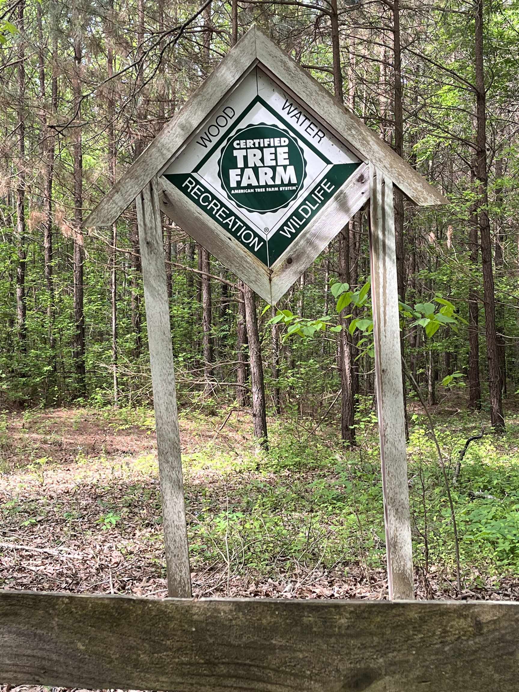 185 Franklin Road Lamar, MS 38642 - Photo 13 of 25 Gallery Image 13