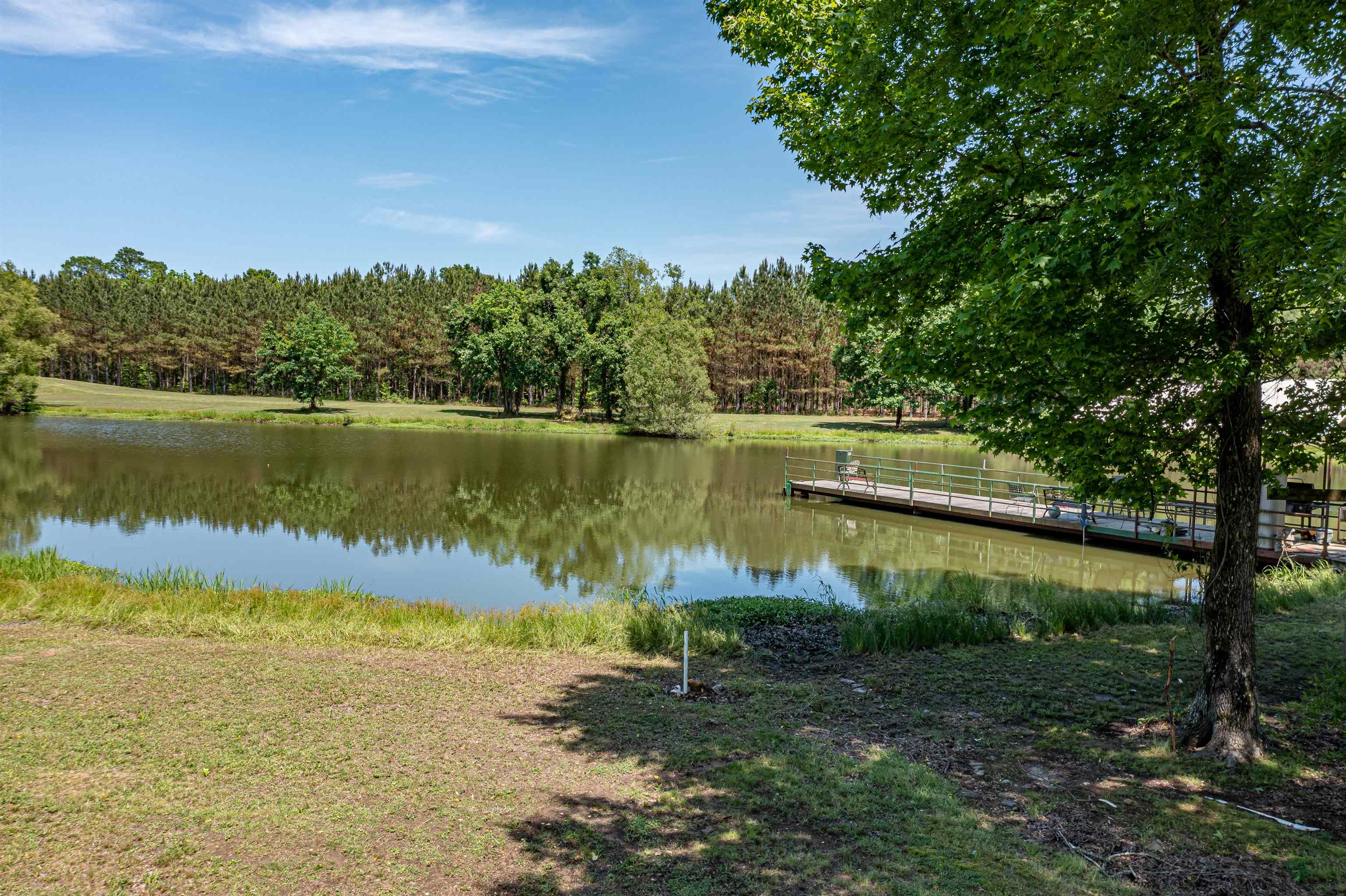 185 Franklin Road Lamar, MS 38642 - Photo 4 of 25 Gallery Image 4