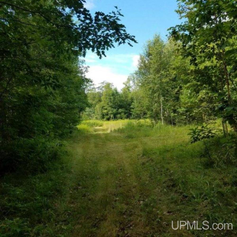 4620 County Rd Cove Champion, MI 49814 - Photo 27 of 32