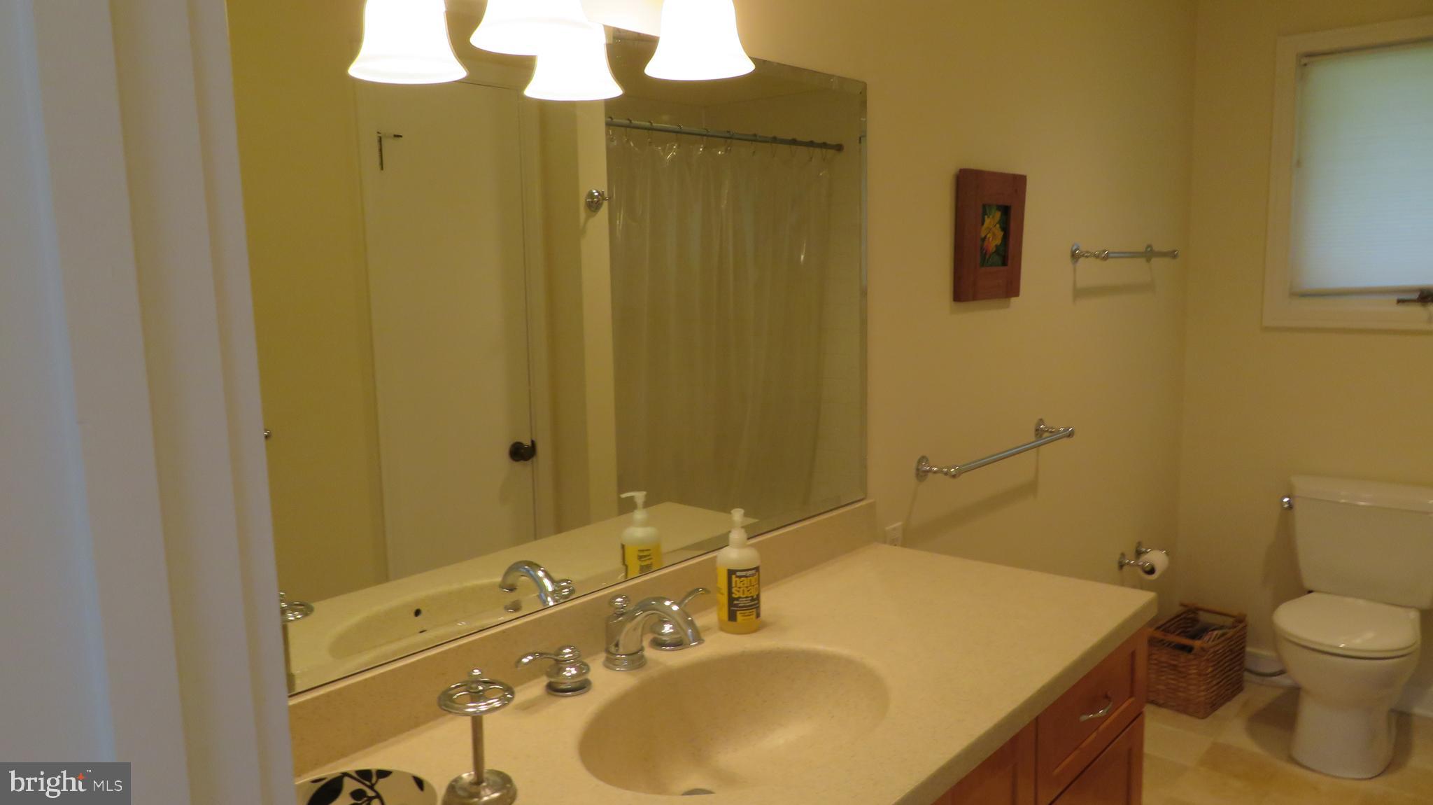 25 Moon Road Sperryville, VA 22740 - Photo 25 of 64 Bath