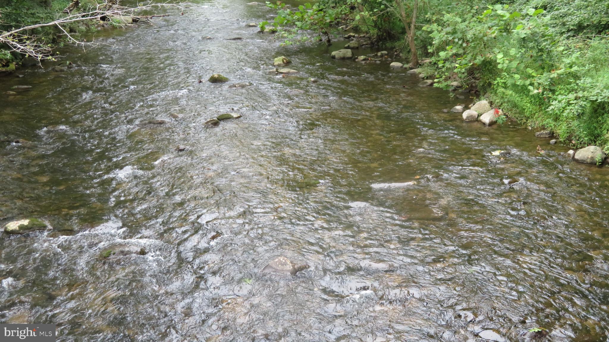 25 Moon Road Sperryville, VA 22740 - Photo 35 of 64 Hughes River