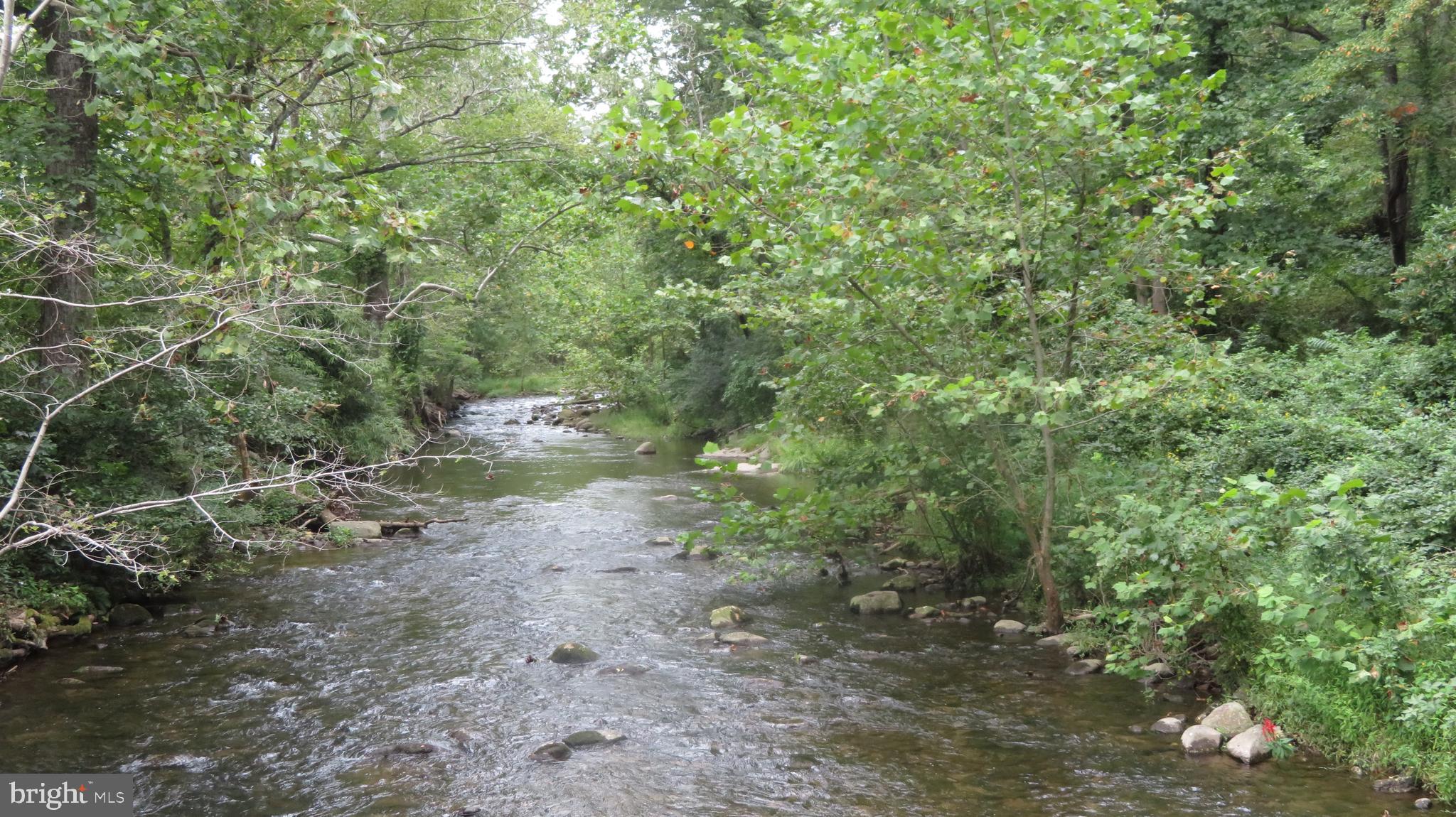 25 Moon Road Sperryville, VA 22740 - Photo 36 of 64 Hughes River
