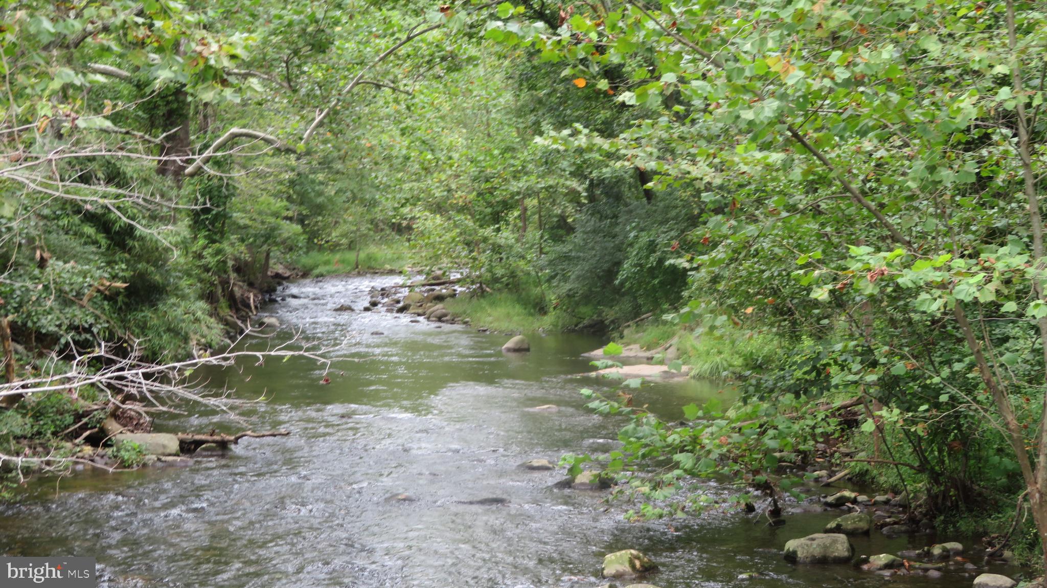 25 Moon Road Sperryville, VA 22740 - Photo 37 of 64 Hughes River