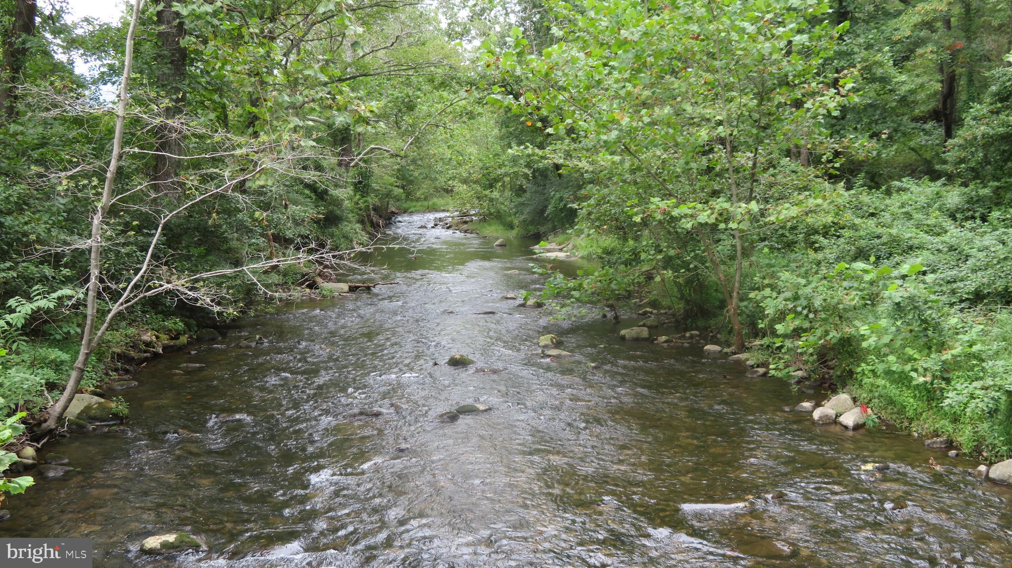 25 Moon Road Sperryville, VA 22740 - Photo 38 of 64 Hughes River