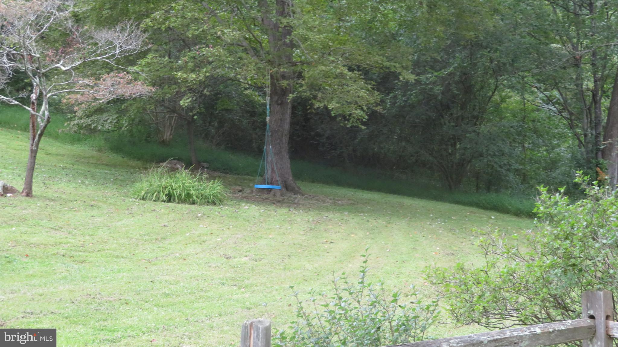 25 Moon Road Sperryville, VA 22740 - Photo 40 of 64 Lawn