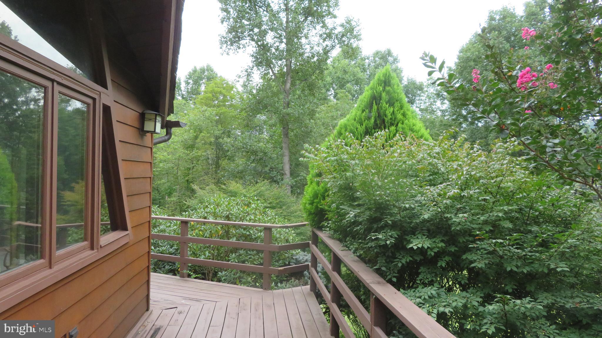 25 Moon Road Sperryville, VA 22740 - Photo 5 of 64 wrap around deck