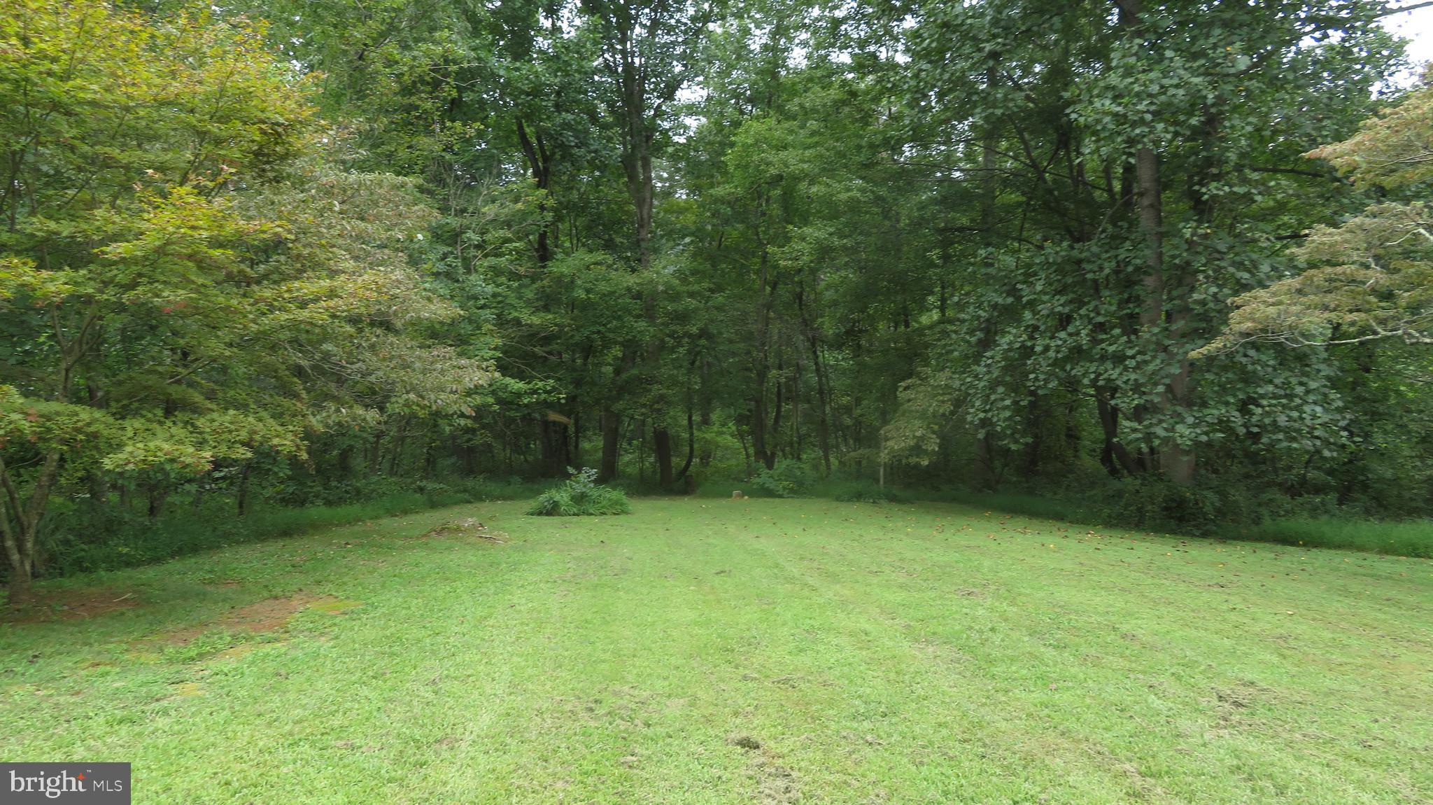 25 Moon Road Sperryville, VA 22740 - Photo 43 of 64 Lawn to river trail