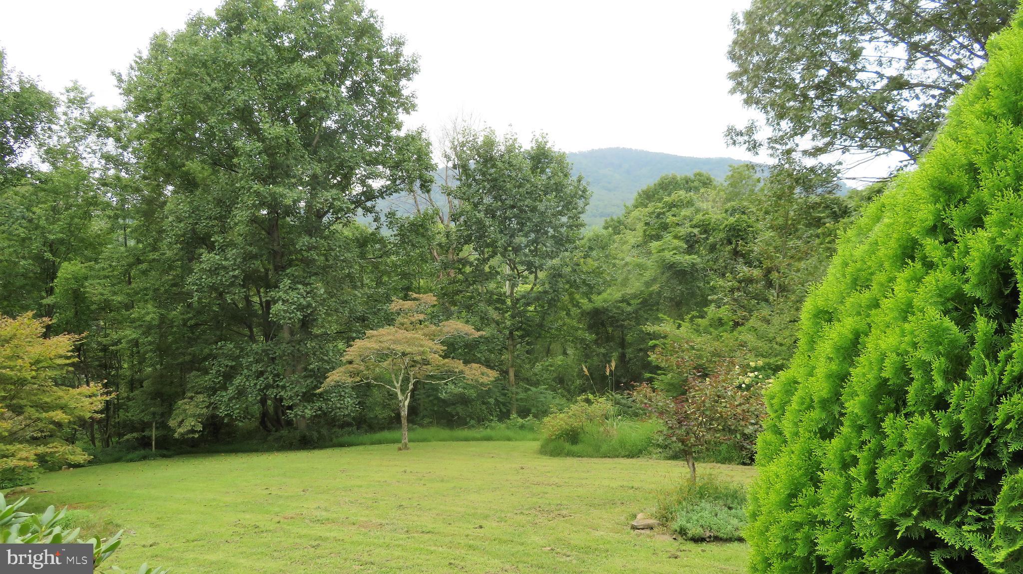 25 Moon Road Sperryville, VA 22740 - Photo 46 of 64 Lawn with mountain view