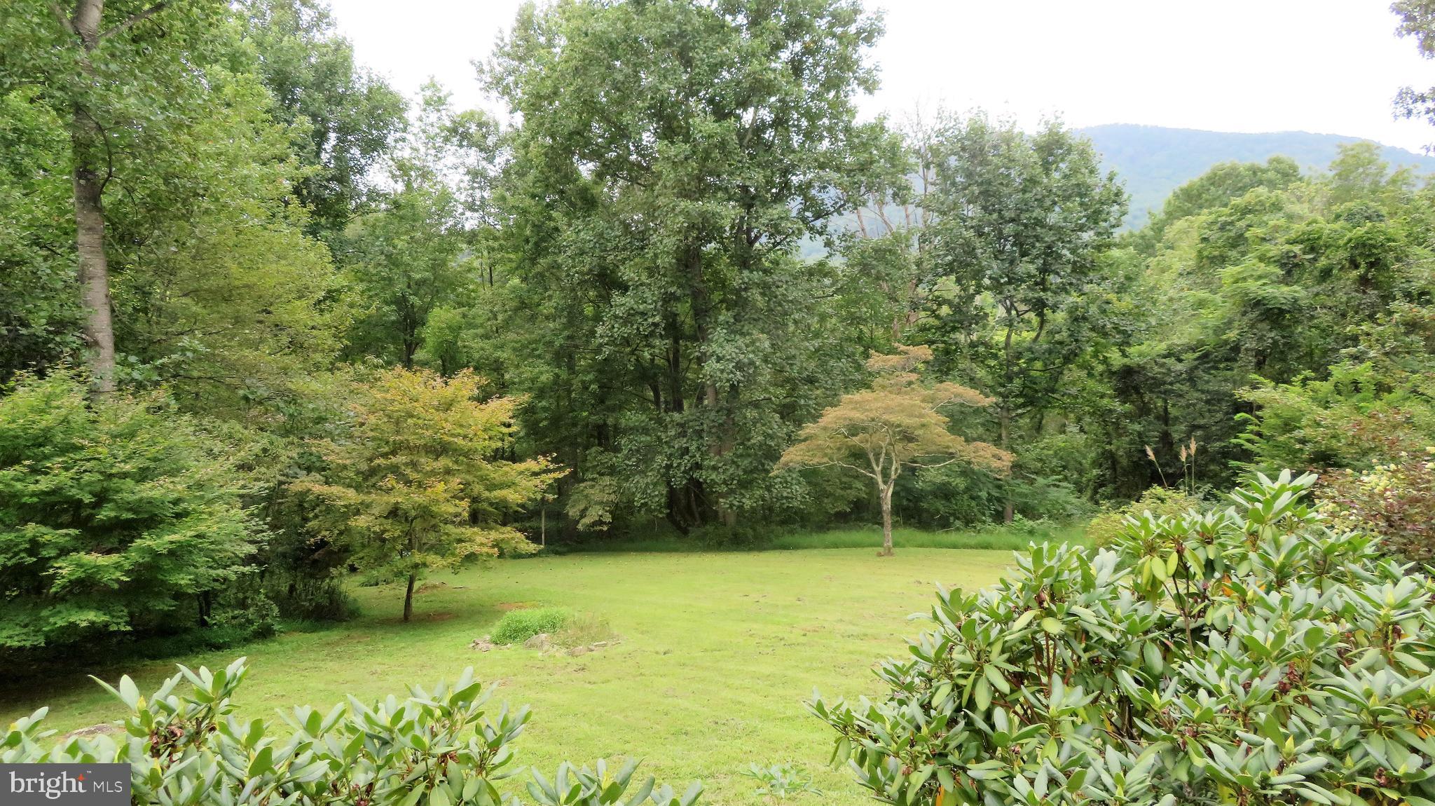 25 Moon Road Sperryville, VA 22740 - Photo 47 of 64 Lawn