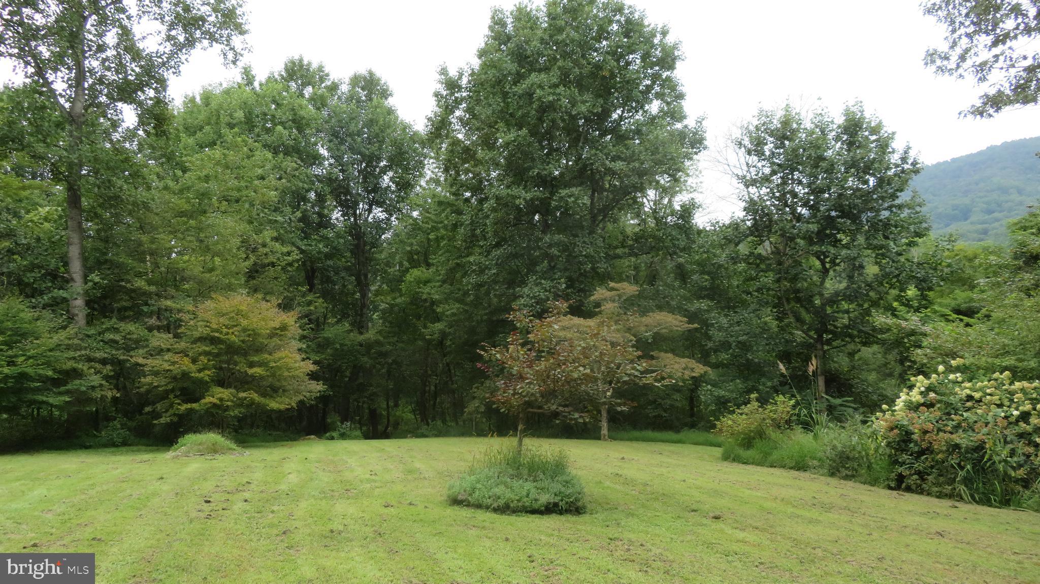 25 Moon Road Sperryville, VA 22740 - Photo 48 of 64 Lawn