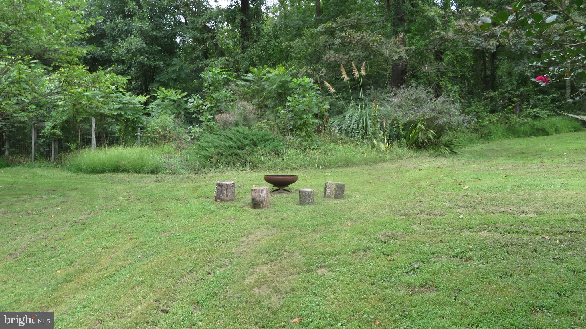 25 Moon Road Sperryville, VA 22740 - Photo 50 of 64 Lawn and garden area