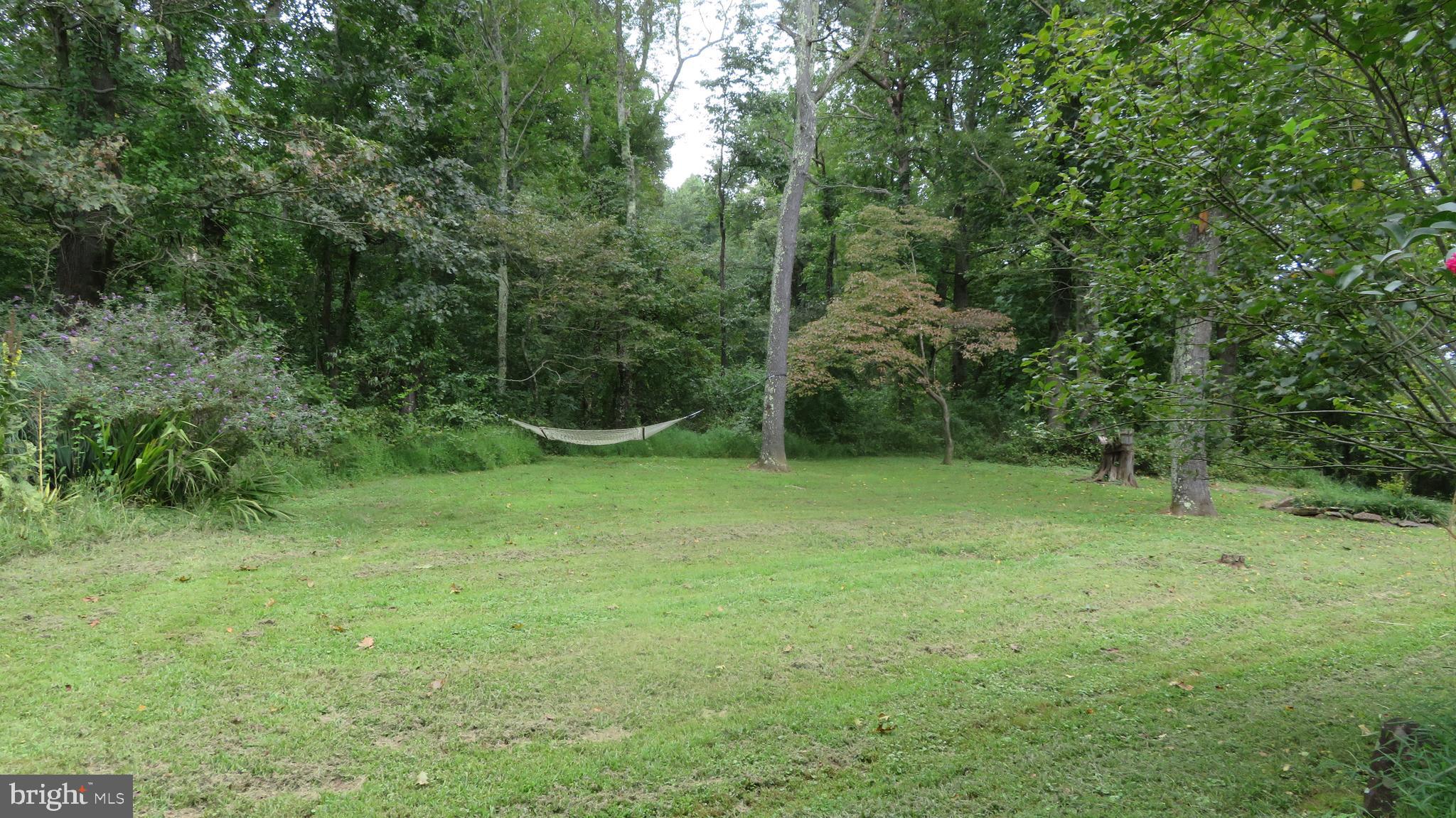 25 Moon Road Sperryville, VA 22740 - Photo 51 of 64 lawn