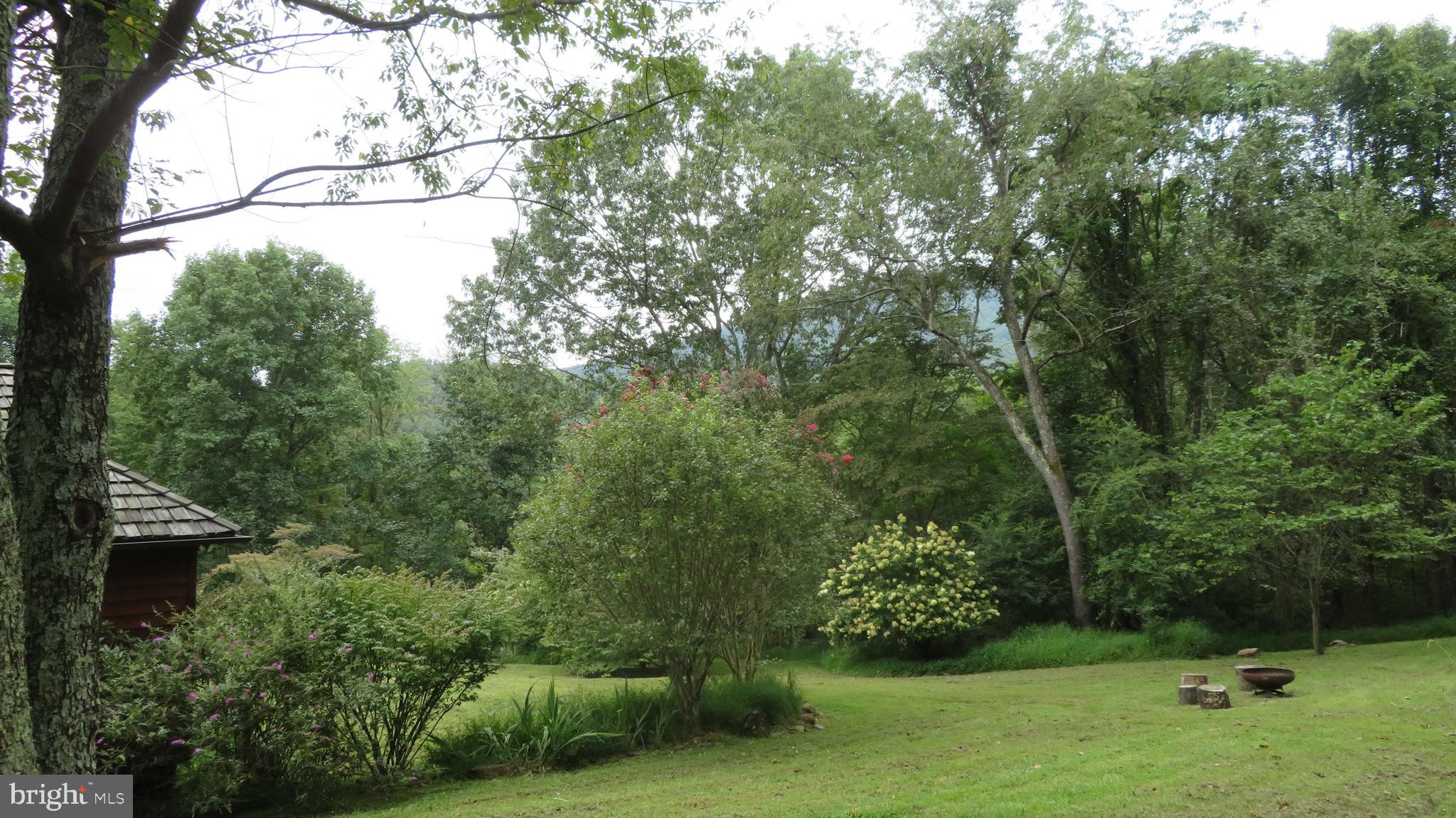 25 Moon Road Sperryville, VA 22740 - Photo 52 of 64 Upper lawn