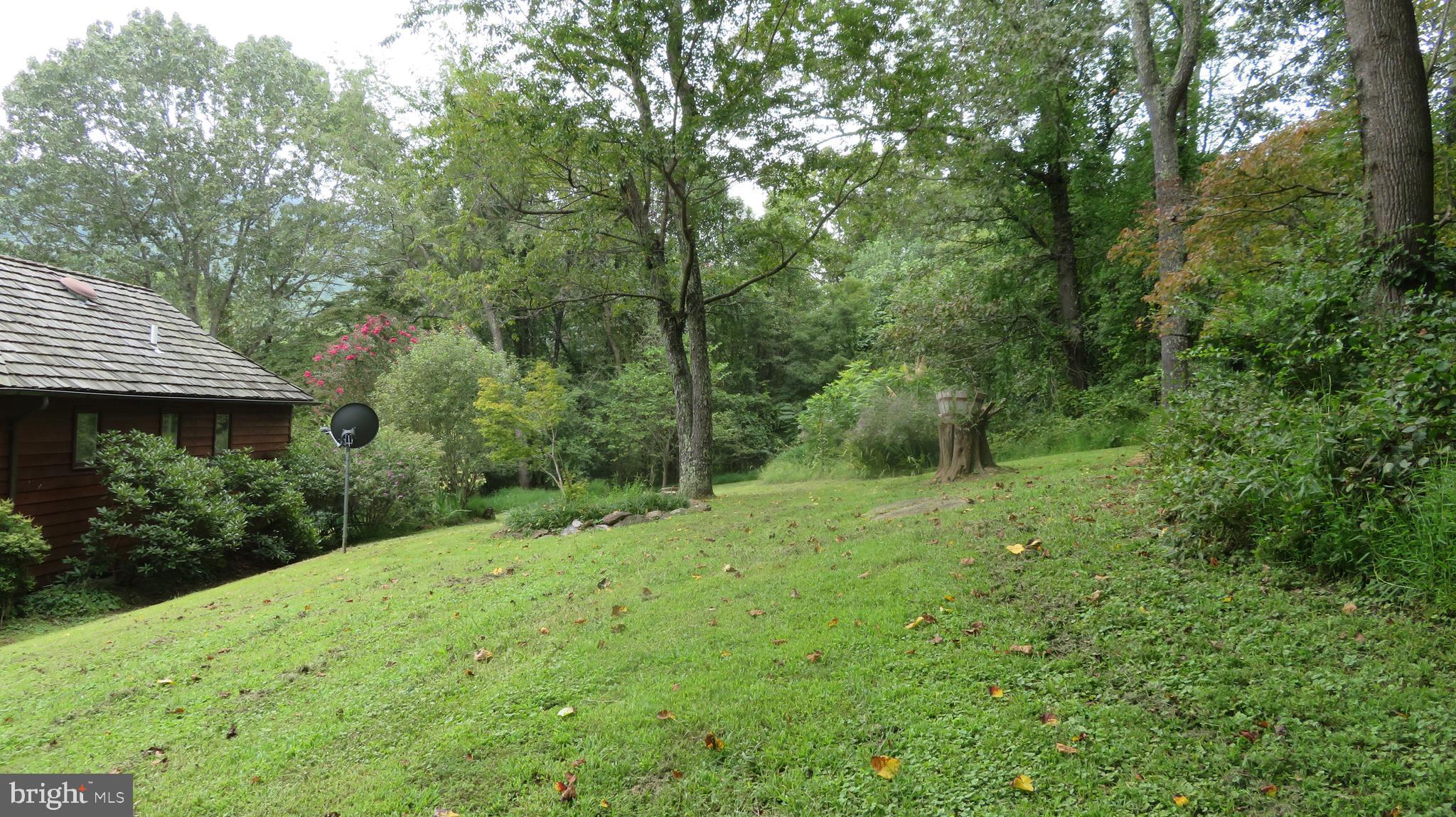 25 Moon Road Sperryville, VA 22740 - Photo 53 of 64 Lawn