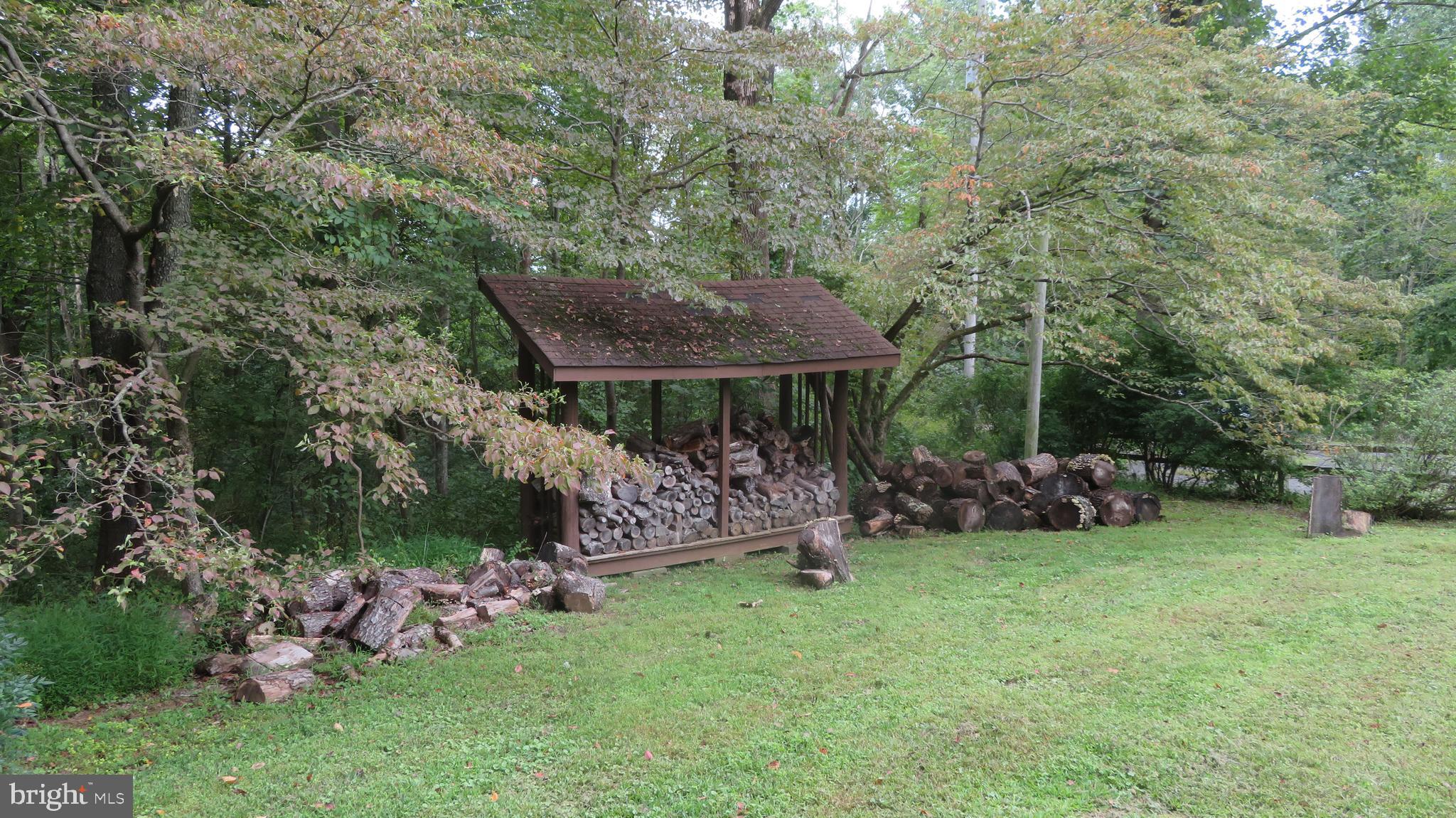 25 Moon Road Sperryville, VA 22740 - Photo 55 of 64 Woodshed