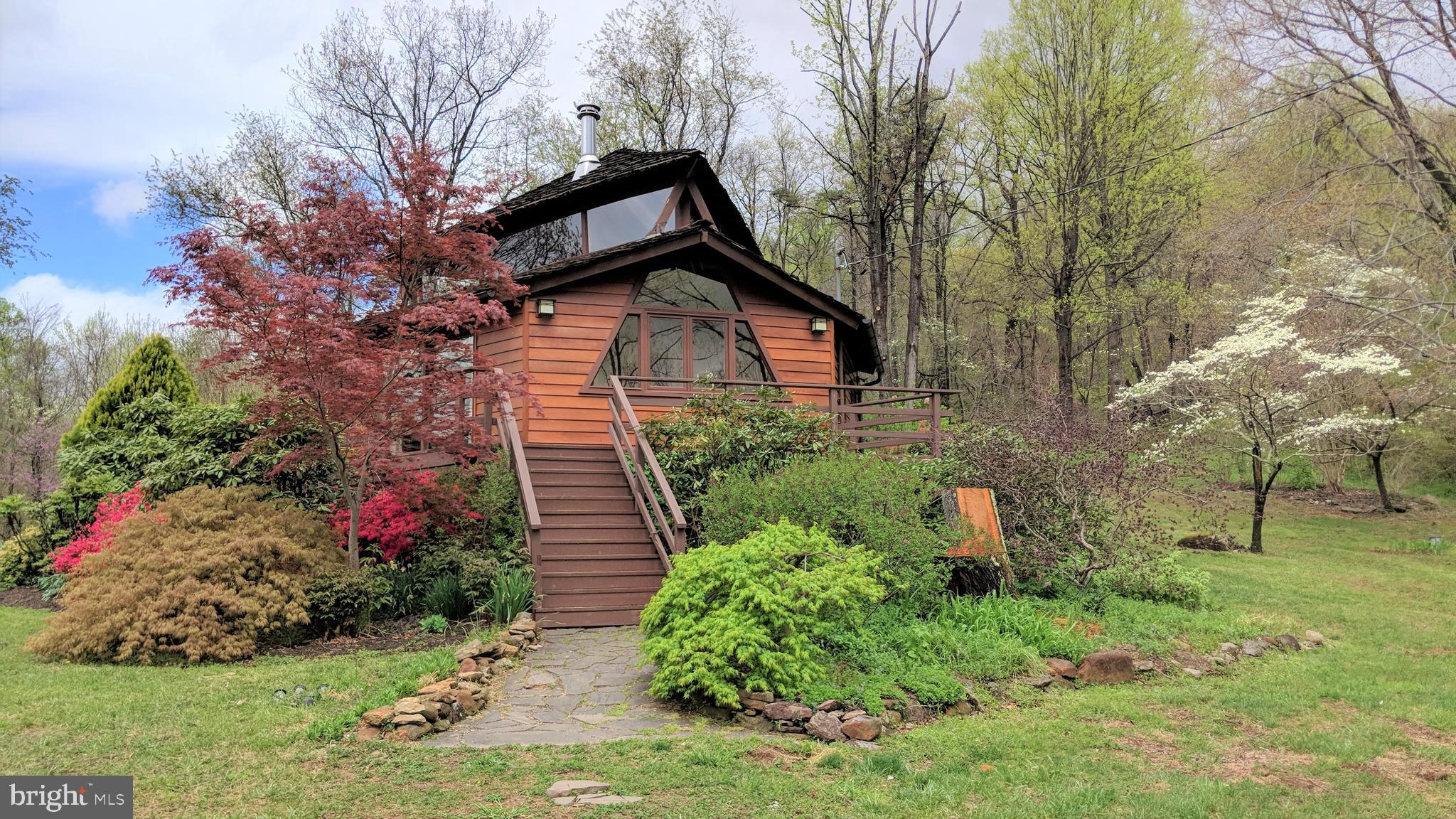 25 Moon Road Sperryville, VA 22740 - Photo 62 of 64 Cabin Spring View