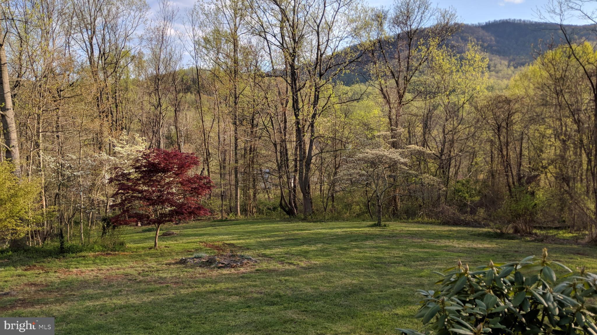 25 Moon Road Sperryville, VA 22740 - Photo 64 of 64 Mountain view in Spring