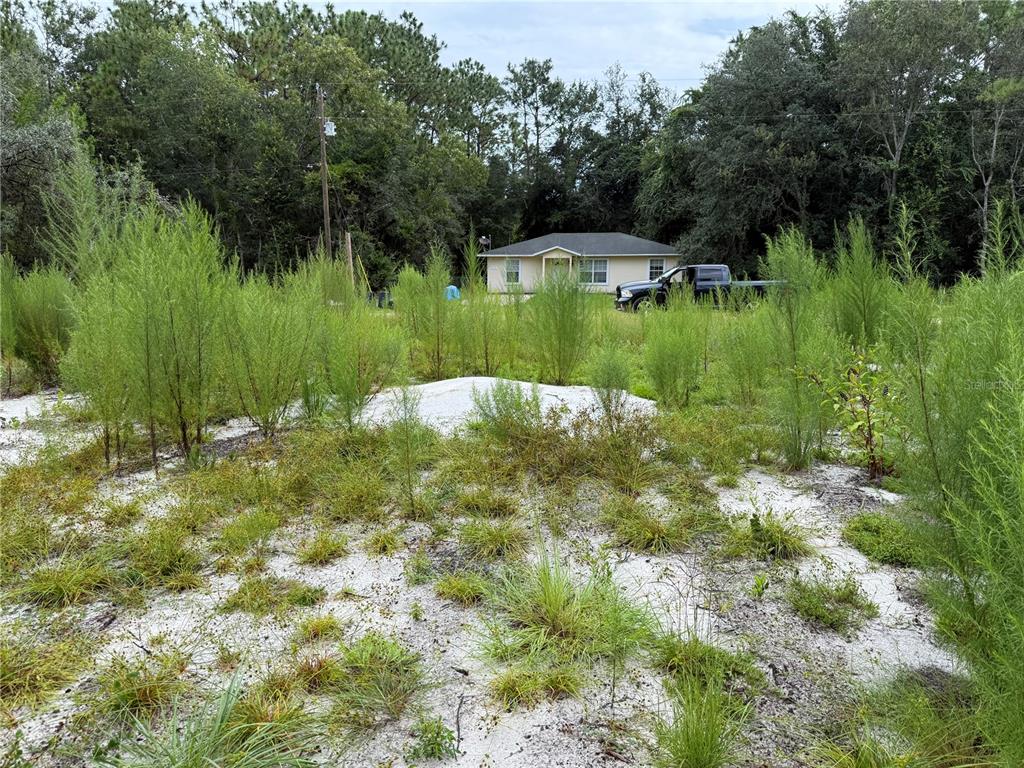 117 Sumac Street Interlachen, FL 32148 - Photo 11 of 19 a view of a green field with a fountain