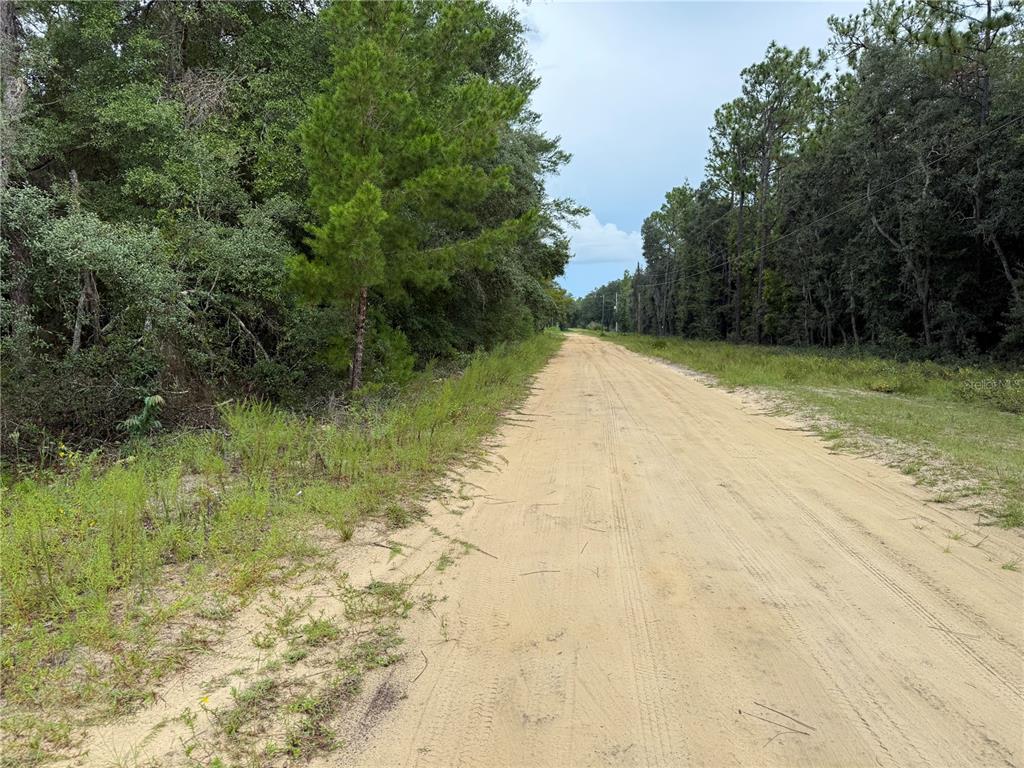 117 Sumac Street Interlachen, FL 32148 - Photo 12 of 19 a view of a yard
