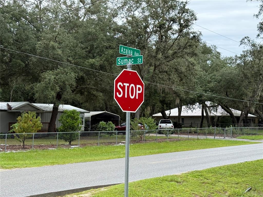 117 Sumac Street Interlachen, FL 32148 - Photo 14 of 19 a view of a park with large trees