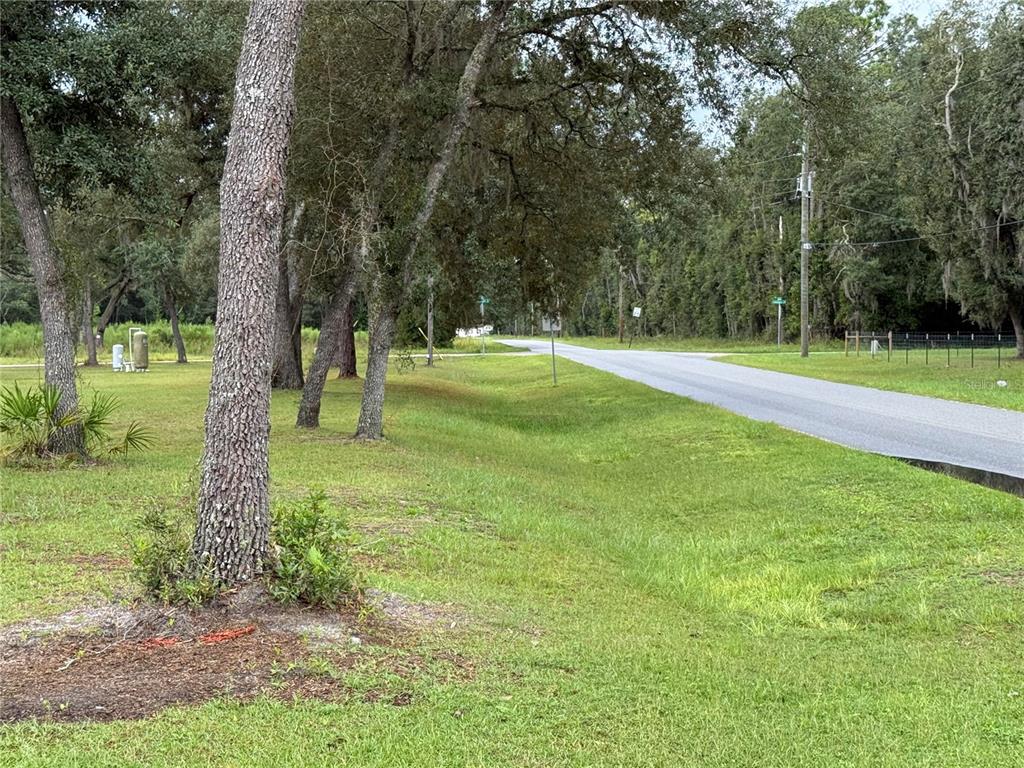 117 Sumac Street Interlachen, FL 32148 - Photo 15 of 19 a view of a garden with trees