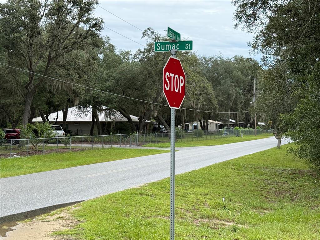 117 Sumac Street Interlachen, FL 32148 - Photo 16 of 19 a view of a park with swings and slides