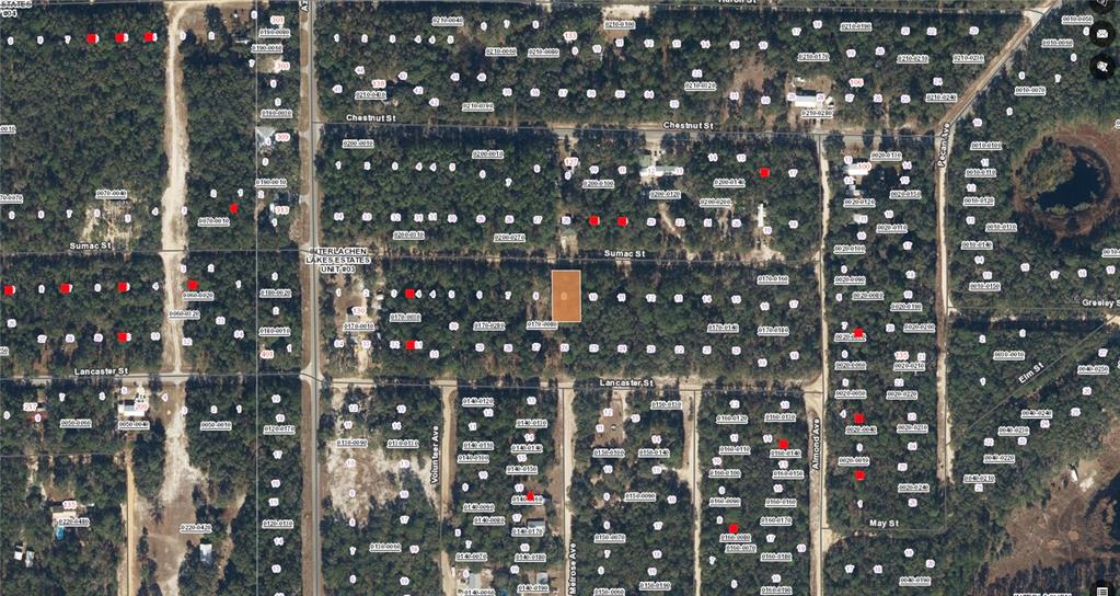 117 Sumac Street Interlachen, FL 32148 - Photo 18 of 19