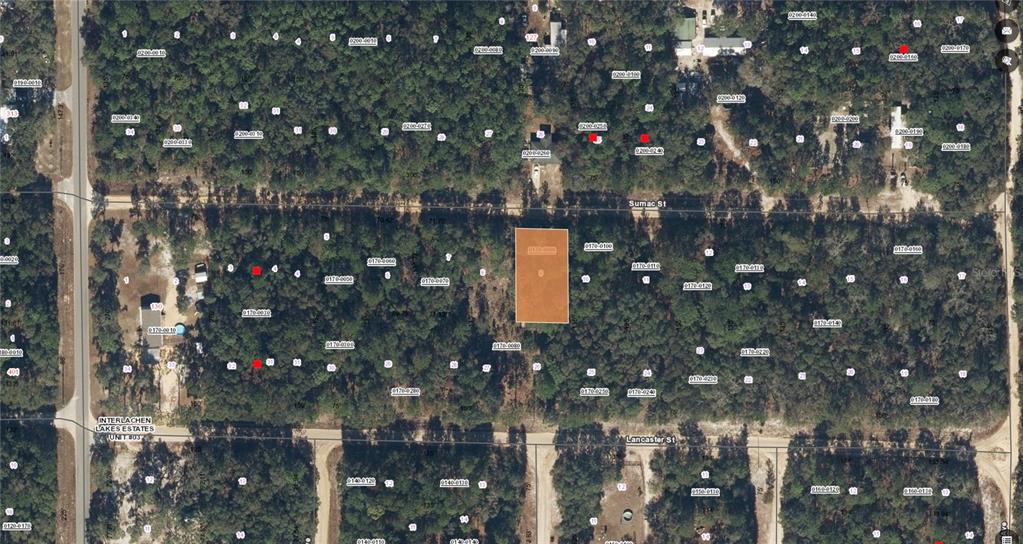 117 Sumac Street Interlachen, FL 32148 - Photo 19 of 19