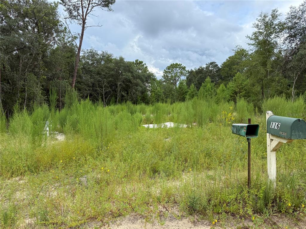 117 Sumac Street Interlachen, FL 32148 - Photo 2 of 19 a view of a garden