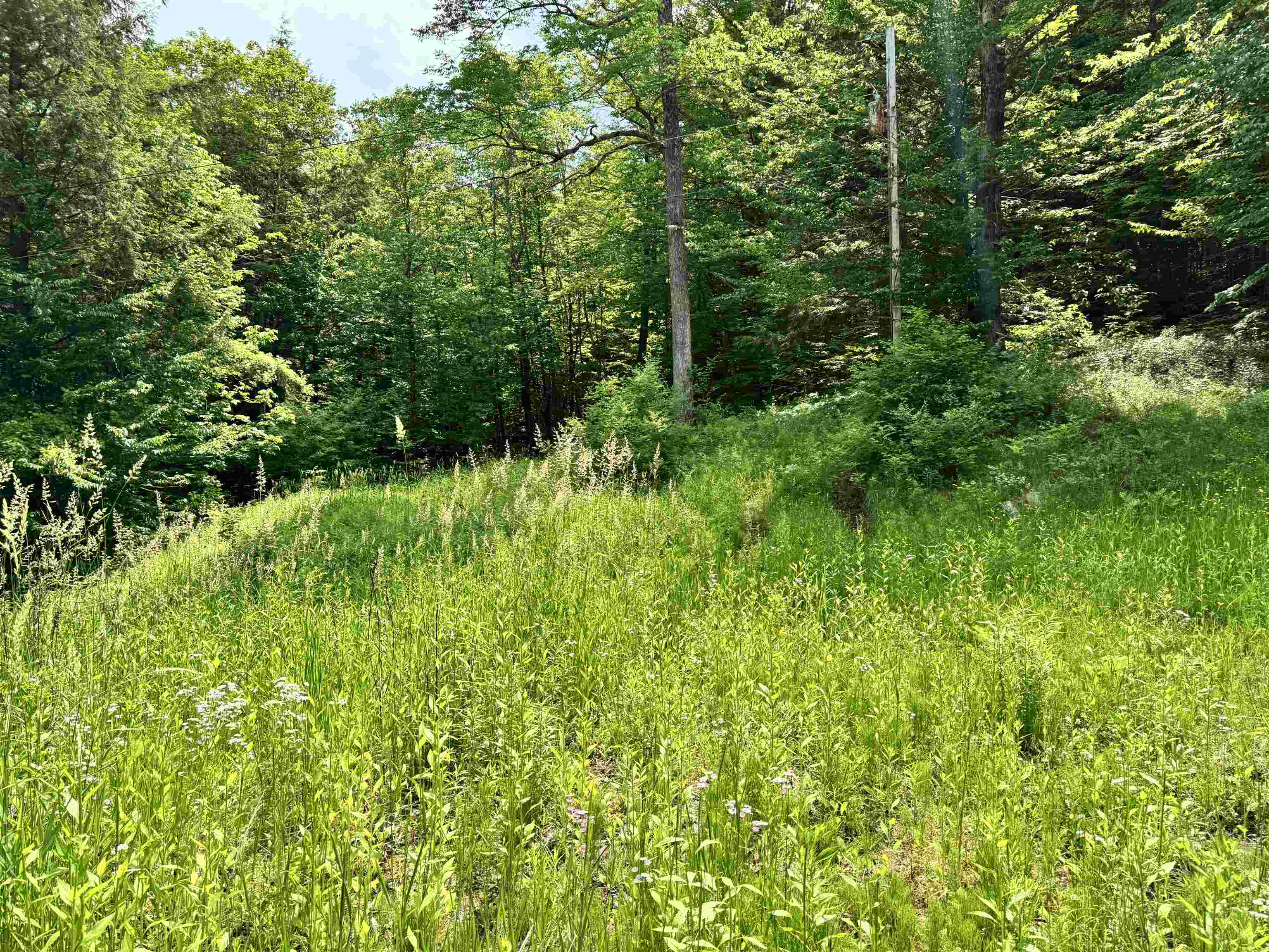 62 Foundry Road Tunbridge, VT 05077 - Photo 13 of 13