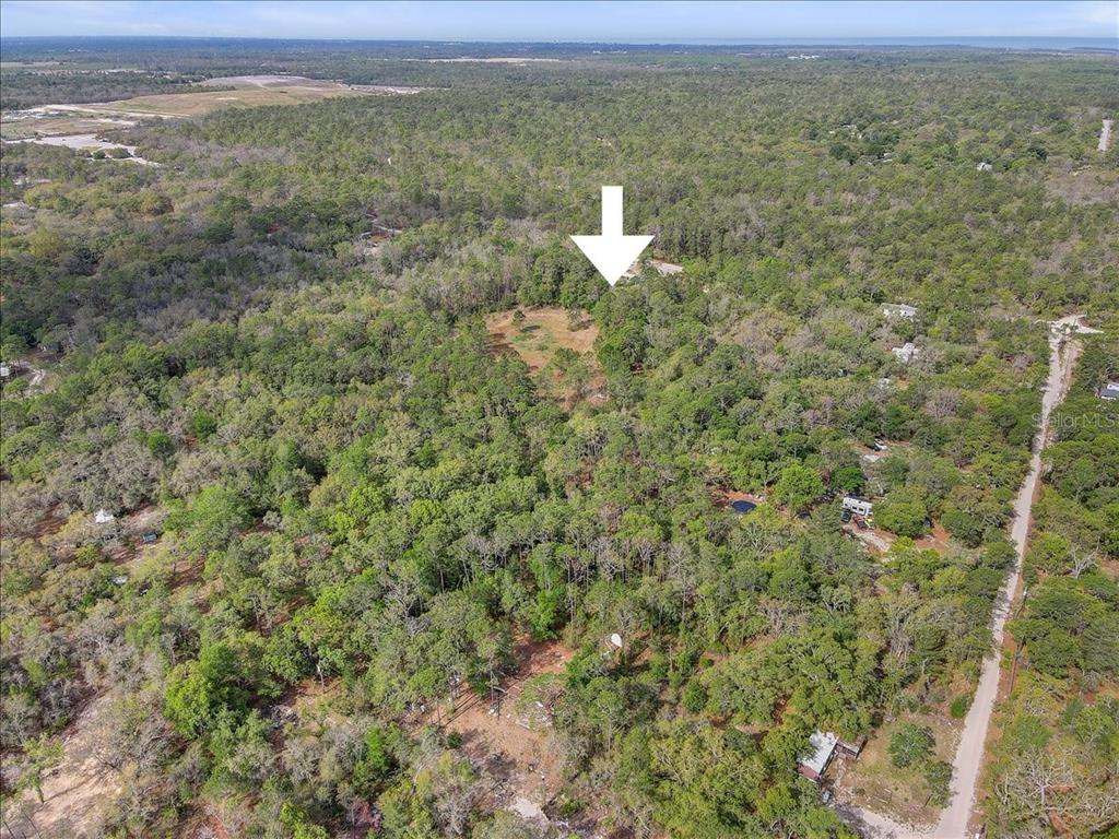 17528 Coyote Road Hudson, FL 34667 - Photo 42 of 60