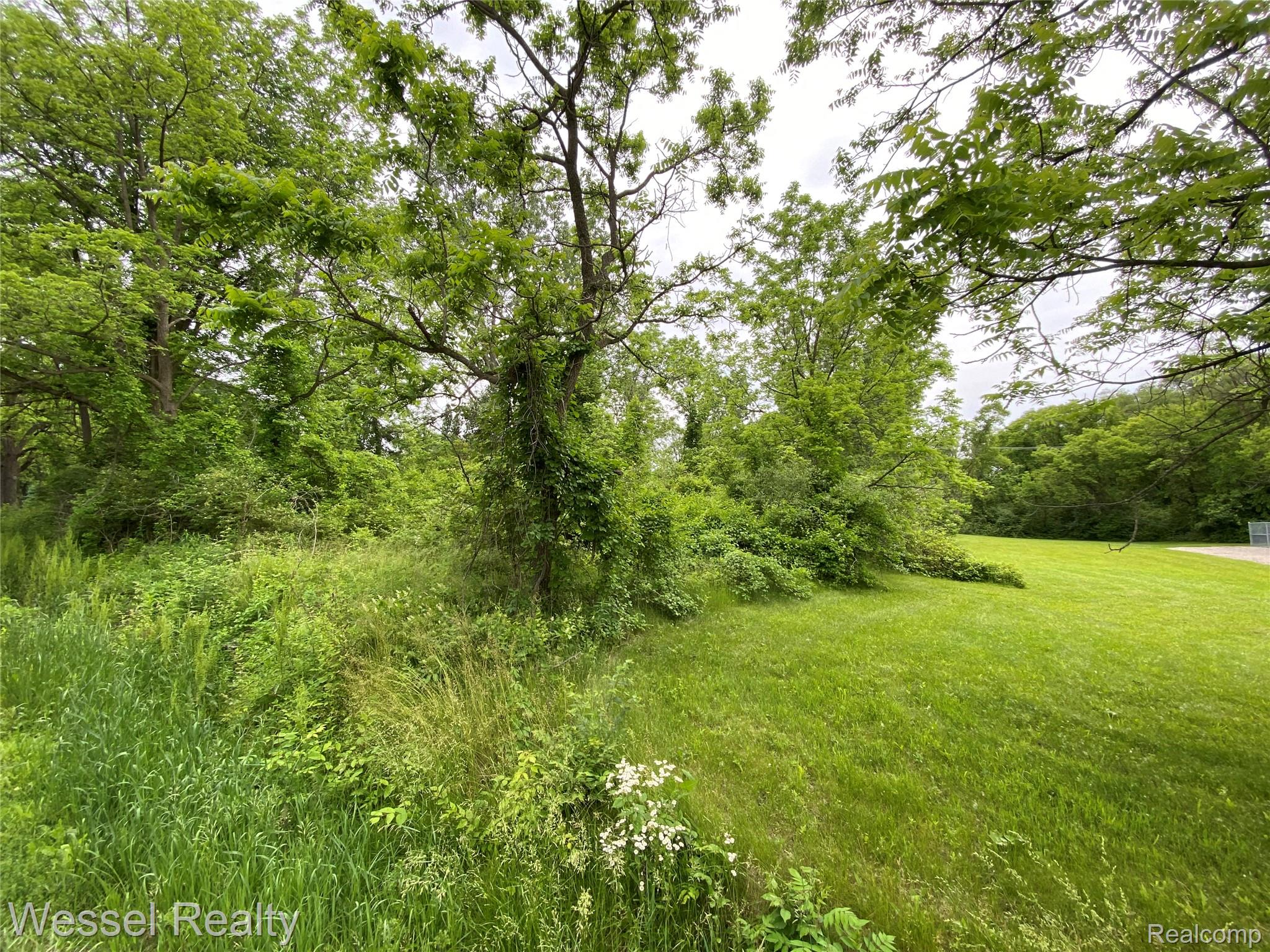 31 31 Mile Road Washington, MI 48095 - Photo 6 of 6 31-6.jpg