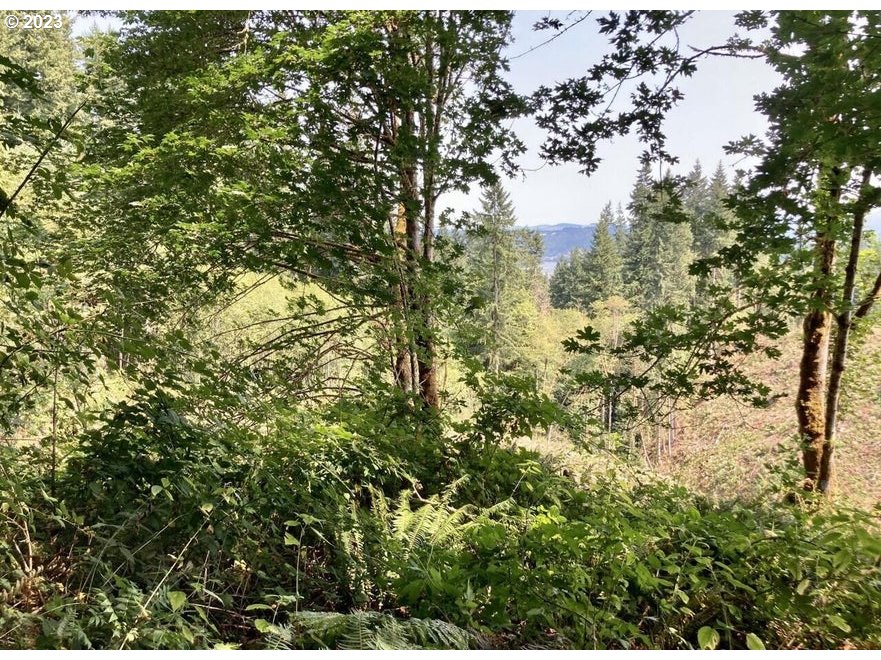 Fern Hill Road, Unit 600 Rainier, OR 97048 - Photo 1 of 7 Gallery Image 1