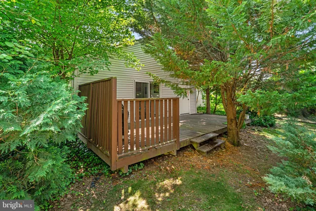 a view of a house with potted plants and large trees