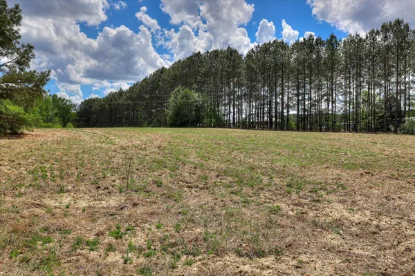 $1,499,000 | 2146 Thomson Highway, Warrenton, GA 30828