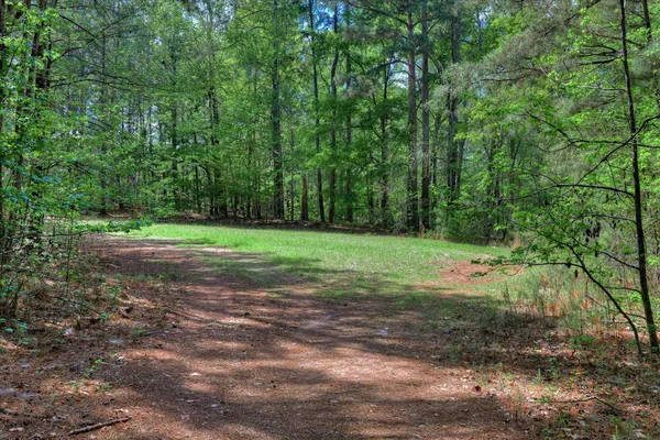 $1,499,000 | 2146 Thomson Highway, Warrenton, GA 30828