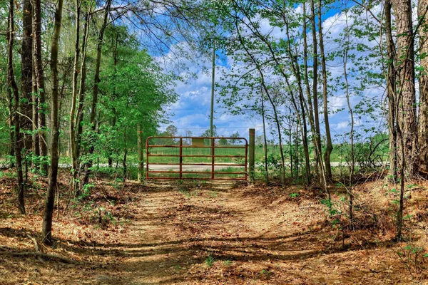 $1,499,000 | 2146 Thomson Highway, Warrenton, GA 30828