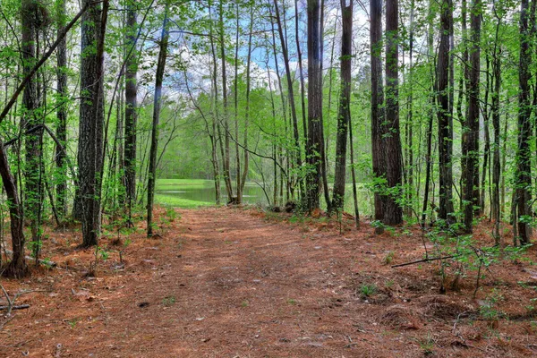 $1,499,000 | 2146 Thomson Highway, Warrenton, GA 30828