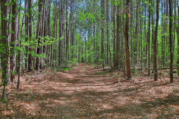 $1,499,000 | 2146 Thomson Highway, Warrenton, GA 30828